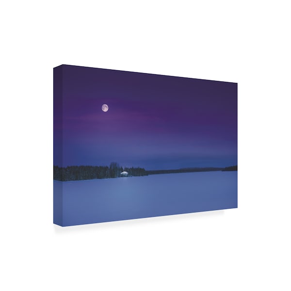 Philippe Sainte Laudy 'Moonshine' Canvas Art,30x47